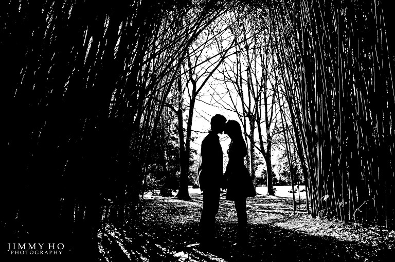 Virginia and Andrew 14