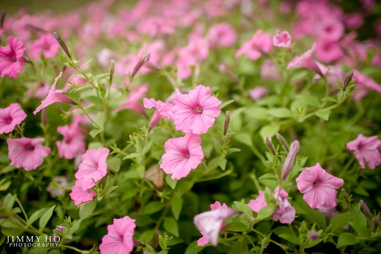 Christina and Ricky Wedding 44