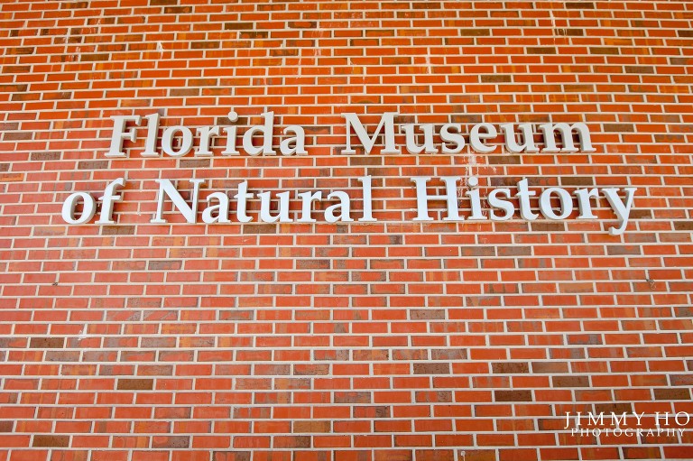 angela-and-brandon-esession-2