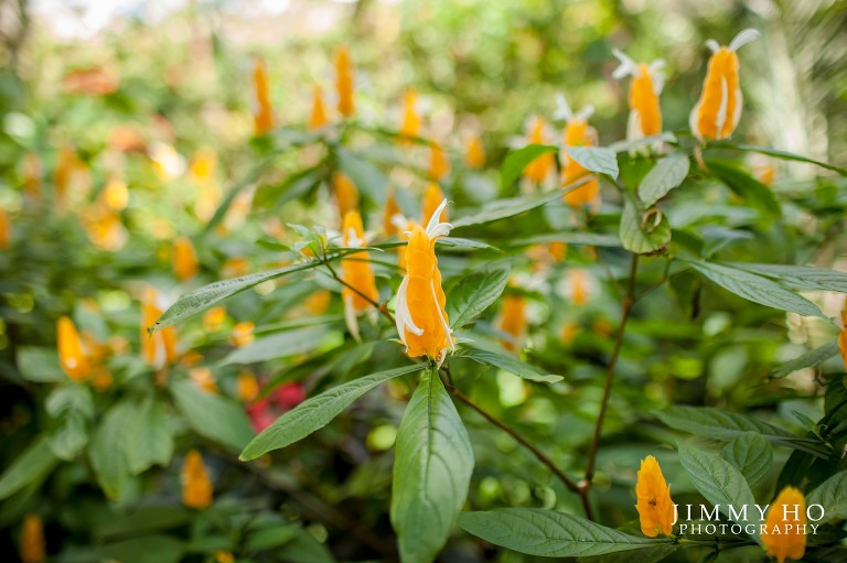 angela-and-brandon-esession-35