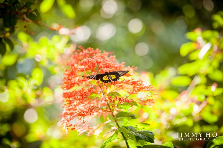 angela-and-brandon-esession-36