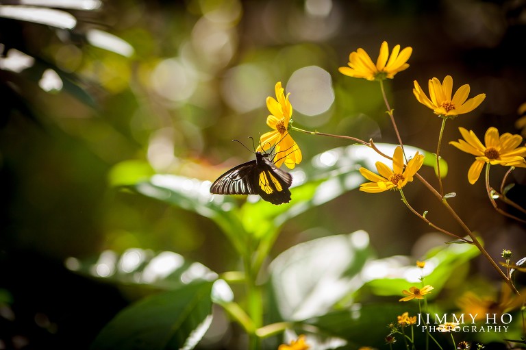 angela-and-brandon-esession-37
