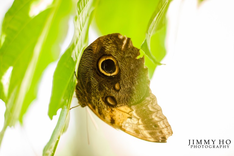 angela-and-brandon-esession-9